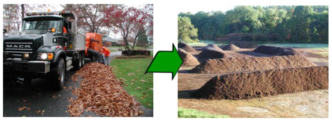 arboriculture-asis-1